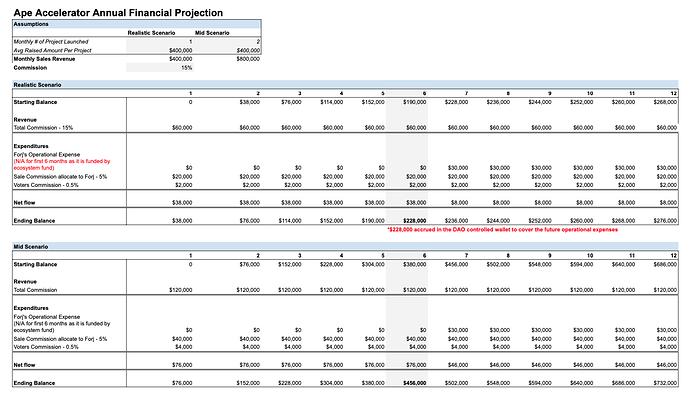 Ape Accelerator Annual Financials