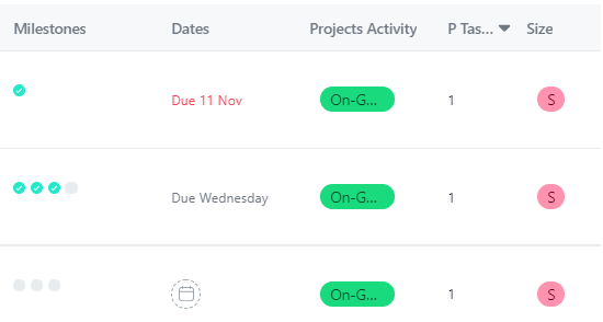 asana portfolio