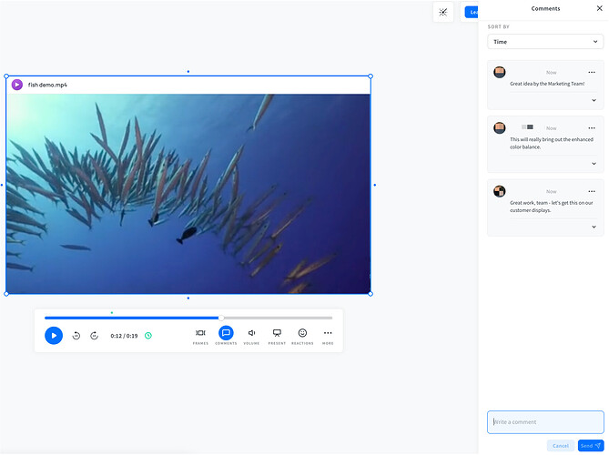 video frame commenting
