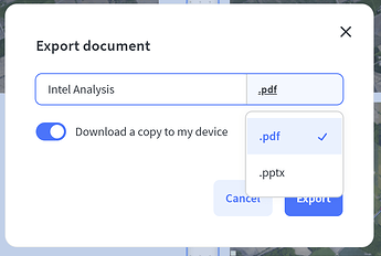 Export document panel