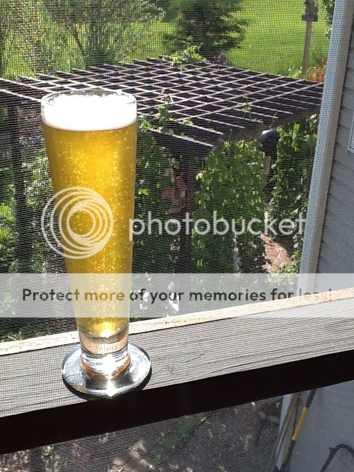 pils_zpsd32a518f.jpg