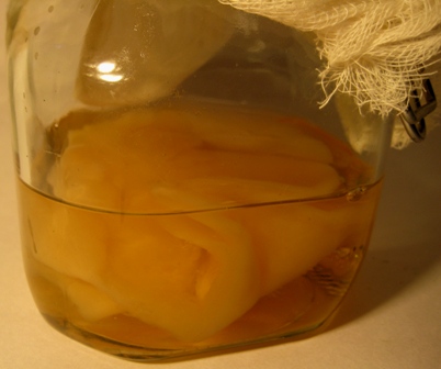 white-vinegar-mother-0608.jpg