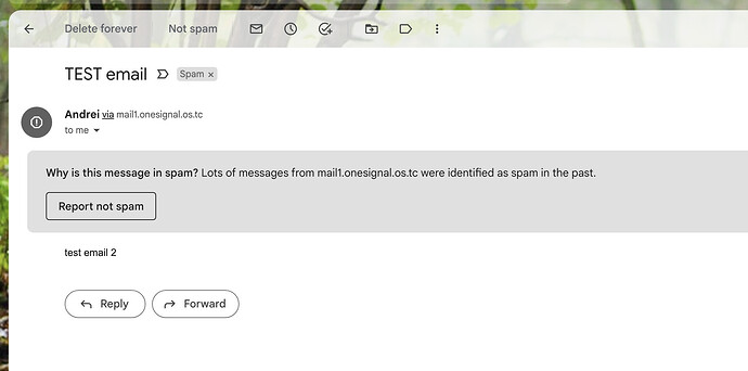 Screenshot 2023-02-07 at 11.25.39