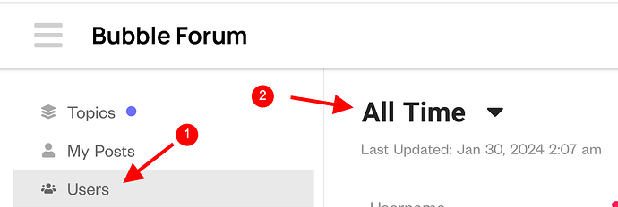screenshot-forum.bubble.io-2024.01.30-19_12_19