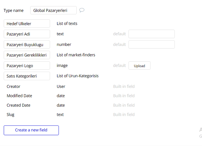 data-type-global-pazaryeri-3