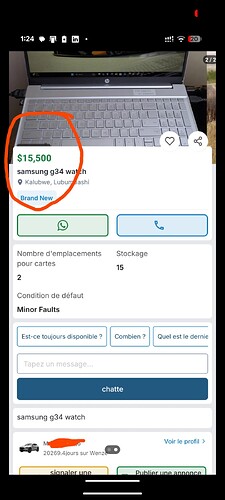 1000406933