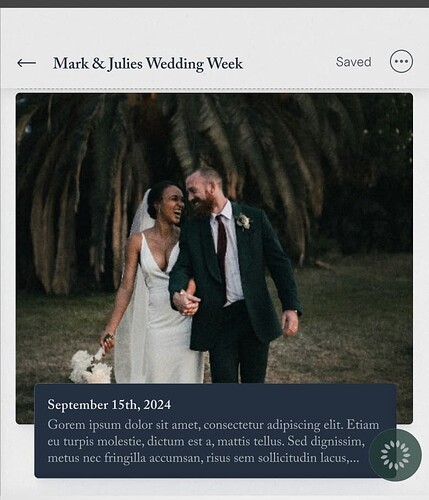 Screenshot 2024-11-20 at 11.30.17 AM