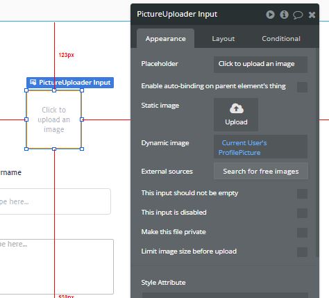 Capture 11.09 Edit profile page_ Window parameter on design mode for picture