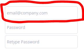 company domain