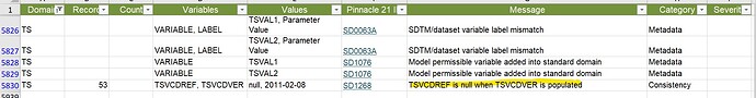 The TS issues from the Details tab of the report.jpg