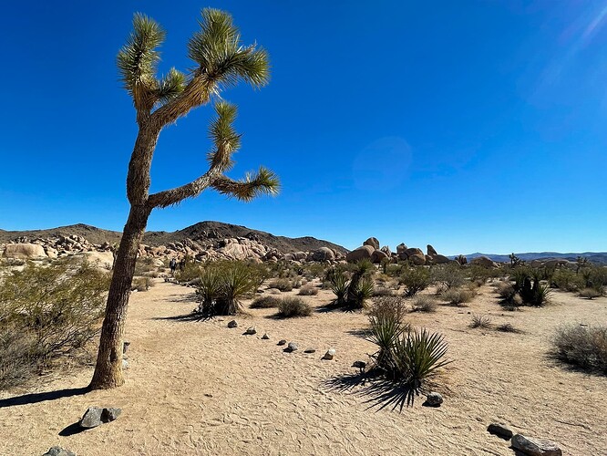 Arch Rock trail