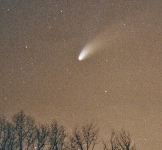 img770 (3)