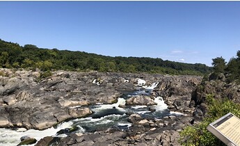 IMG_8294