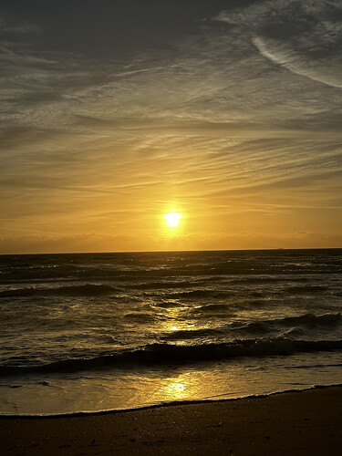 IMG_1911.HEIC