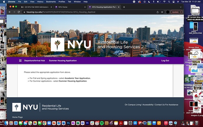 Screen Shot 2022-03-29 at 11.21.18 AM
