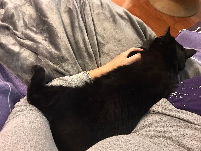 Kona leg over my arm
