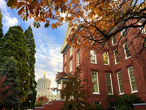 Willamette