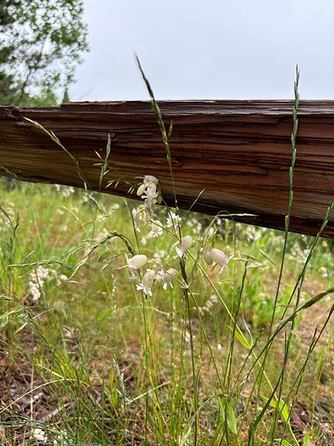 74076596738__E9F9D6A8-980A-4294-8F89-115AA1F924ED