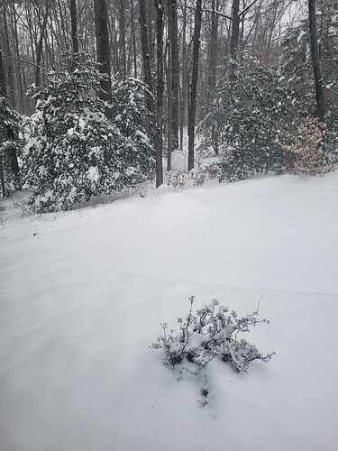 2025 snow 2