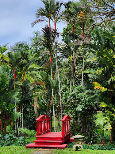 Lipstick Palms