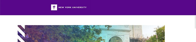 NYU_Screenshot