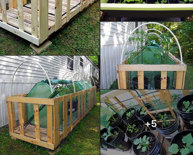 deer protection idea2