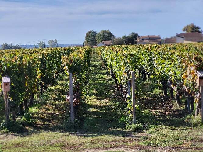 Winery Bordeaux