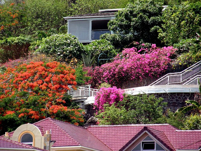 Marigot Hillside