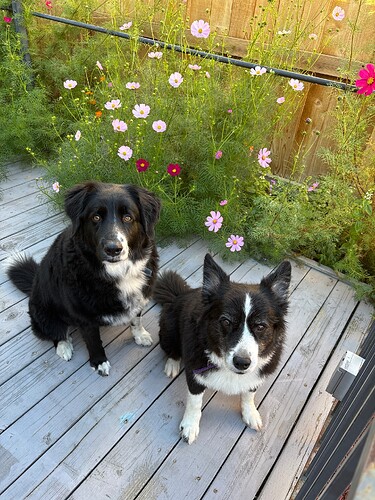 78191968523__35D9DF67-F00E-4985-A199-E12E01338807