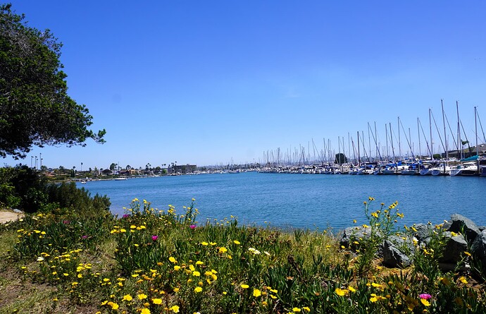 DSC00695