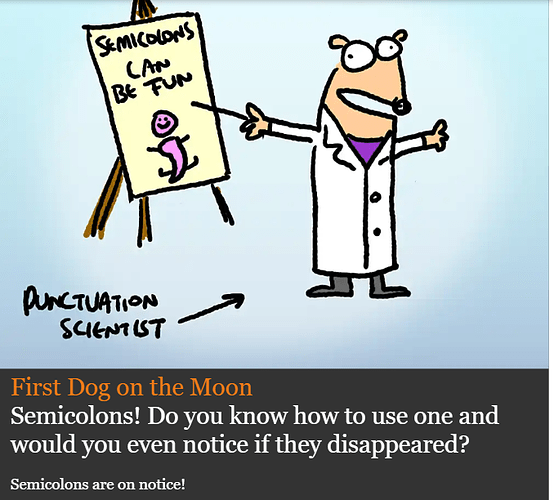 FirstDogSemicolon