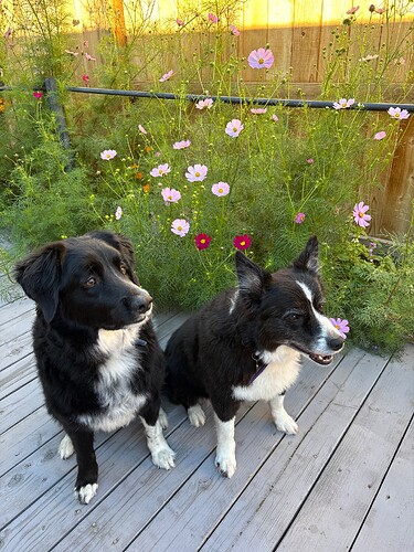 78191964127__C9C88893-D8B3-4794-942F-B8BA89E24C38