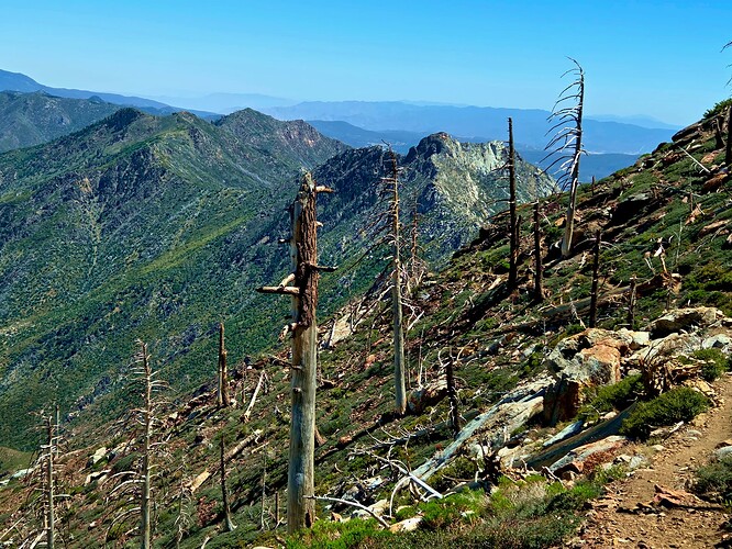 peaks