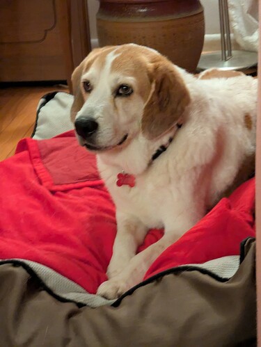 f8c59730-816b-4fe9-8c7b-e3b179dee625-1_all_50378