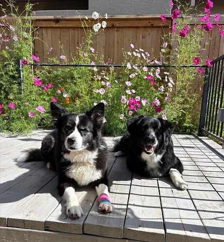 78225031425__023FA019-D0AC-4A82-BAEB-B22756699653