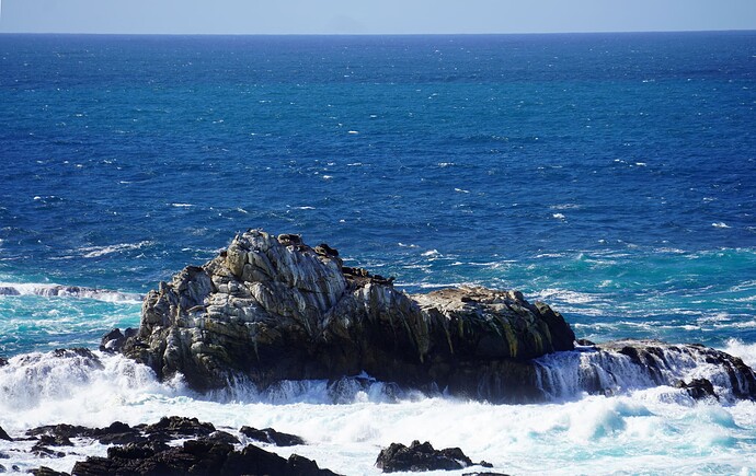 Point Lobos 1