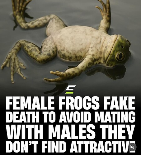 Screenshot 2025-10-20 at 17-00-11 Instagram