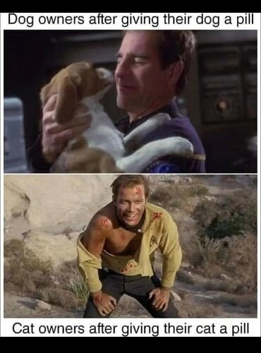 Screenshot_20250714-211915