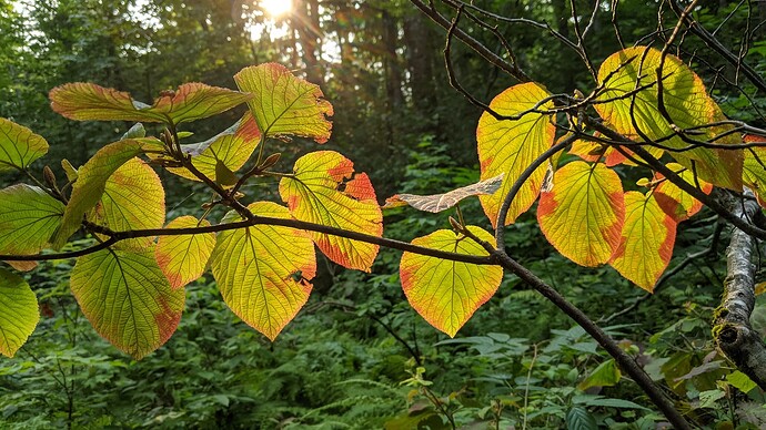 PXL_20210820_214211830