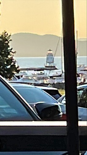 MicrosoftTeams-image (1)