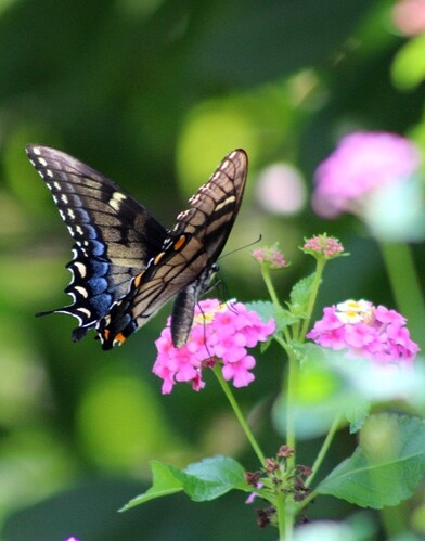 Screenshot_20210810-144442_Camera Connect