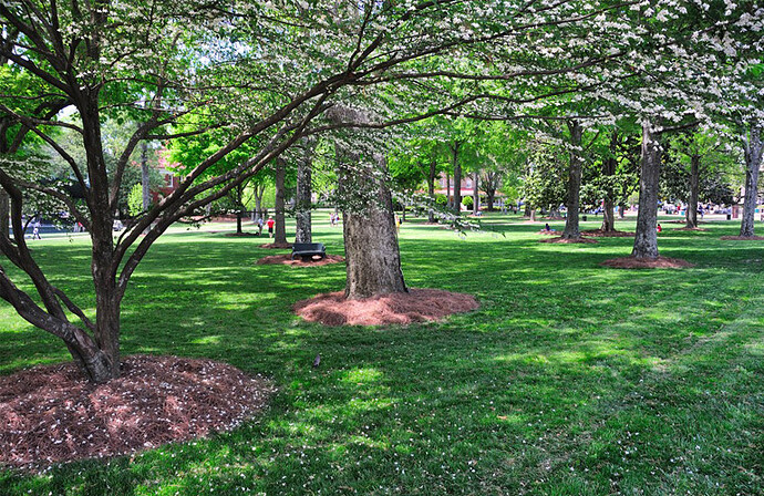 TURF-Spr19_My-Landscape_770x500