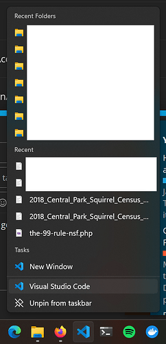 derp_vscode