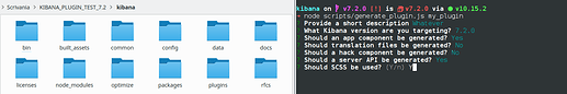 09_run_generate_plugin