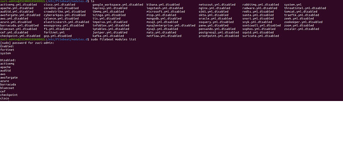 Filebeat module enabled