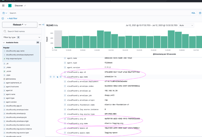Screen Shot 2021-07-12 at 1.33.04 PM