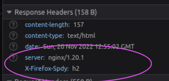 Screen Shot 2022-11-20 at 8.56.08 AM