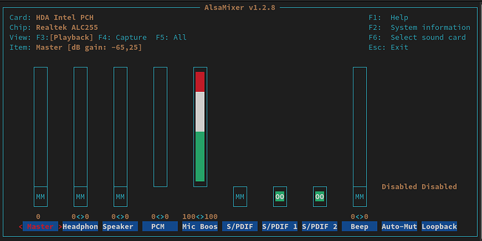 alsamixer screen capture