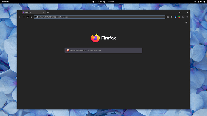Screenshot from 2023-09-07 17-47-59