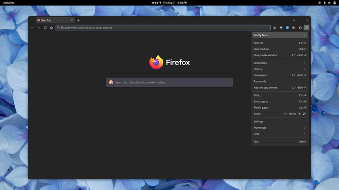 Screenshot from 2023-09-07 17-48-11